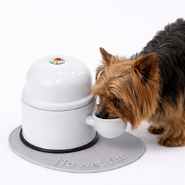 Vida Mansa Water Dispenser 23.7 oz / 700 ml - for Dogs and Cats (No Wet Fur) White