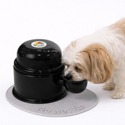 Vida Mansa Water Dispenser 23.7 oz / 700 ml - for Dogs and Cats (No Wet Fur) Black