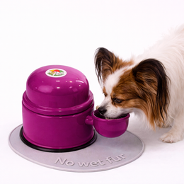 Vida Mansa Water Dispenser 23.7 oz / 700 ml - for Dogs and Cats (No Wet Fur) Violet