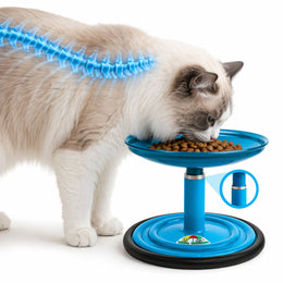 Vida Mansa Meow Meow Adjustable Feeder for Cats (Without Touching the Whiskers) Light Blue