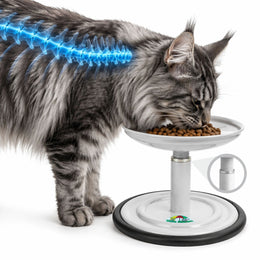 Vida Mansa Meow Meow Adjustable Feeder for Cats (Without Touching the Whiskers) White