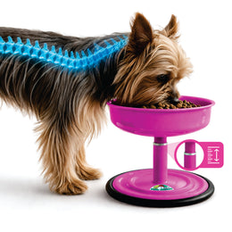 Vida Mansa Woof Woof Adjustable Feeder for Dogs (Feeding in the Correct Posture) (Pink)
