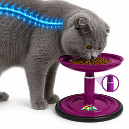 Vida Mansa Meow Meow Adjustable Feeder for Cats (Without Touching the Whiskers) Purple