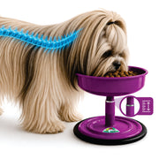 Vida Mansa Woof Woof Adjustable Feeder for Dogs (Feeding in the Correct Posture) Purple