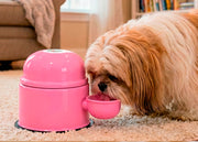 Vida Mansa Water Dispenser 47.3 oz / 1400 ml - for Dogs and Cats (No Wet Fur) White