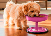 Vida Mansa Woof Woof Adjustable Feeder for Dogs (Feeding in the Correct Posture) (White)