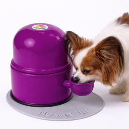 Vida Mansa Water Dispenser 47.3 oz / 1400 ml - for Dogs and Cats (No Wet Fur) Violet
