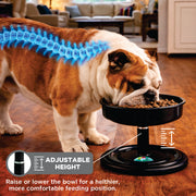 Vida Mansa Woof Woof Adjustable Feeder for Dogs (Feeding in the Correct Posture) (Black)