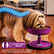 Vida Mansa Woof Woof Adjustable Feeder for Dogs (Feeding in the Correct Posture) Purple
