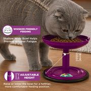 Vida Mansa Meow Meow Adjustable Feeder for Cats (Without Touching the Whiskers) Purple