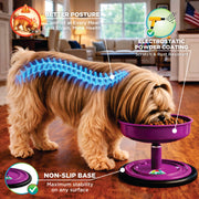 Vida Mansa Woof Woof Adjustable Feeder for Dogs (Feeding in the Correct Posture) Purple