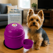 Vida Mansa Water Dispenser 23.7 oz / 700 ml - for Dogs and Cats (No Wet Fur) Violet