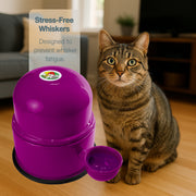 Vida Mansa Water Dispenser 47.3 oz / 1400 ml - for Dogs and Cats (No Wet Fur) Violet