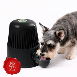 Vida Mansa Water Dispenser 67.6 oz / 2000 ml - for Dogs and Cats (No Wet Fur) Opaque Black