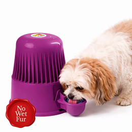 Vida Mansa Water Dispenser 67.6 oz / 2000 ml - for Dogs and Cats (No Wet Fur) Opaque Purple